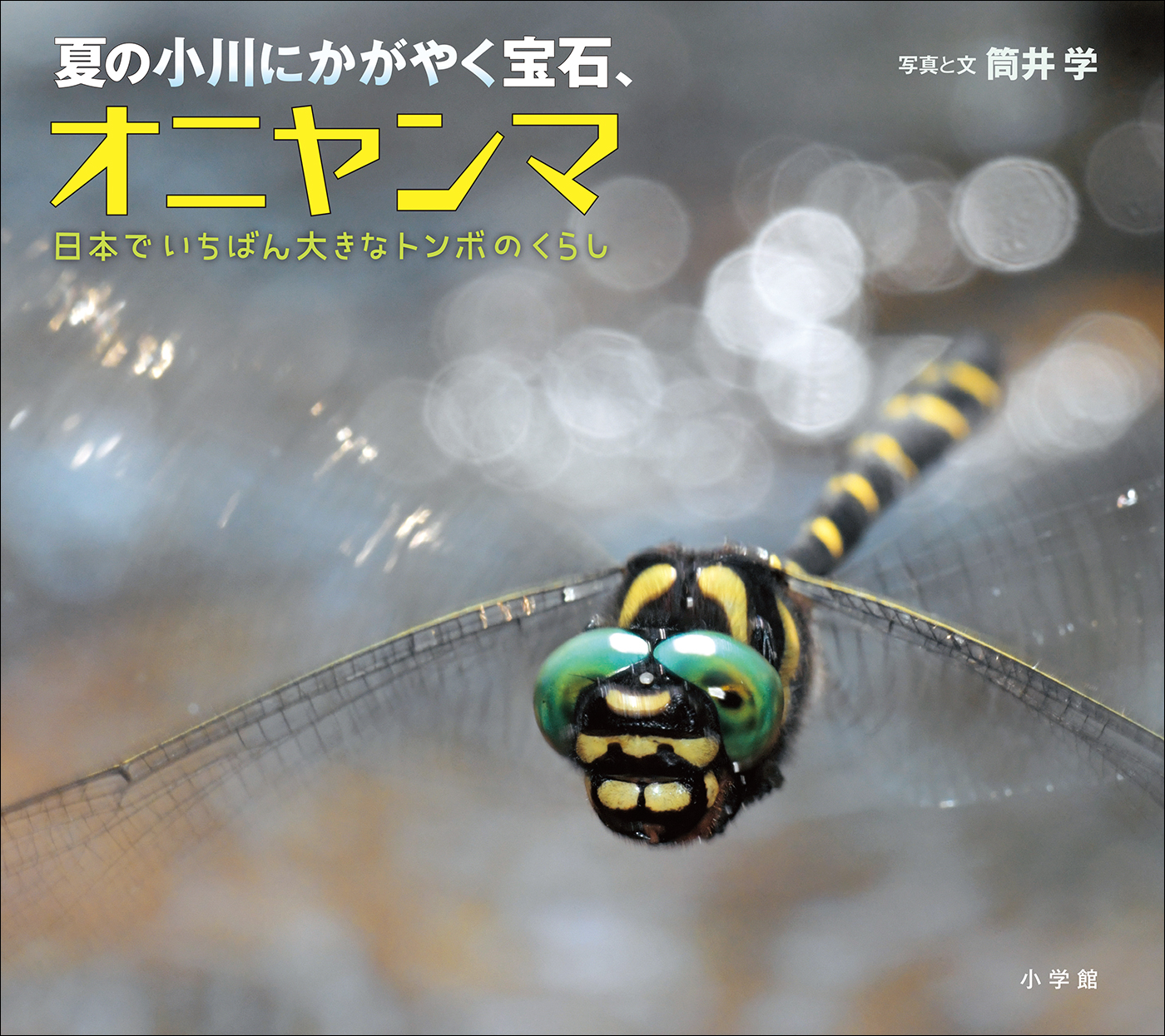 夏の小川にかがやく宝石、オニヤンマ　～日本でいちばん大きなトンボのくらし～（小学館の図鑑NEOの科学絵本） | ブックライブ