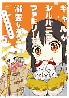 ギャルがシルバニアファミリーを溺愛したら。＃ギャルバニア