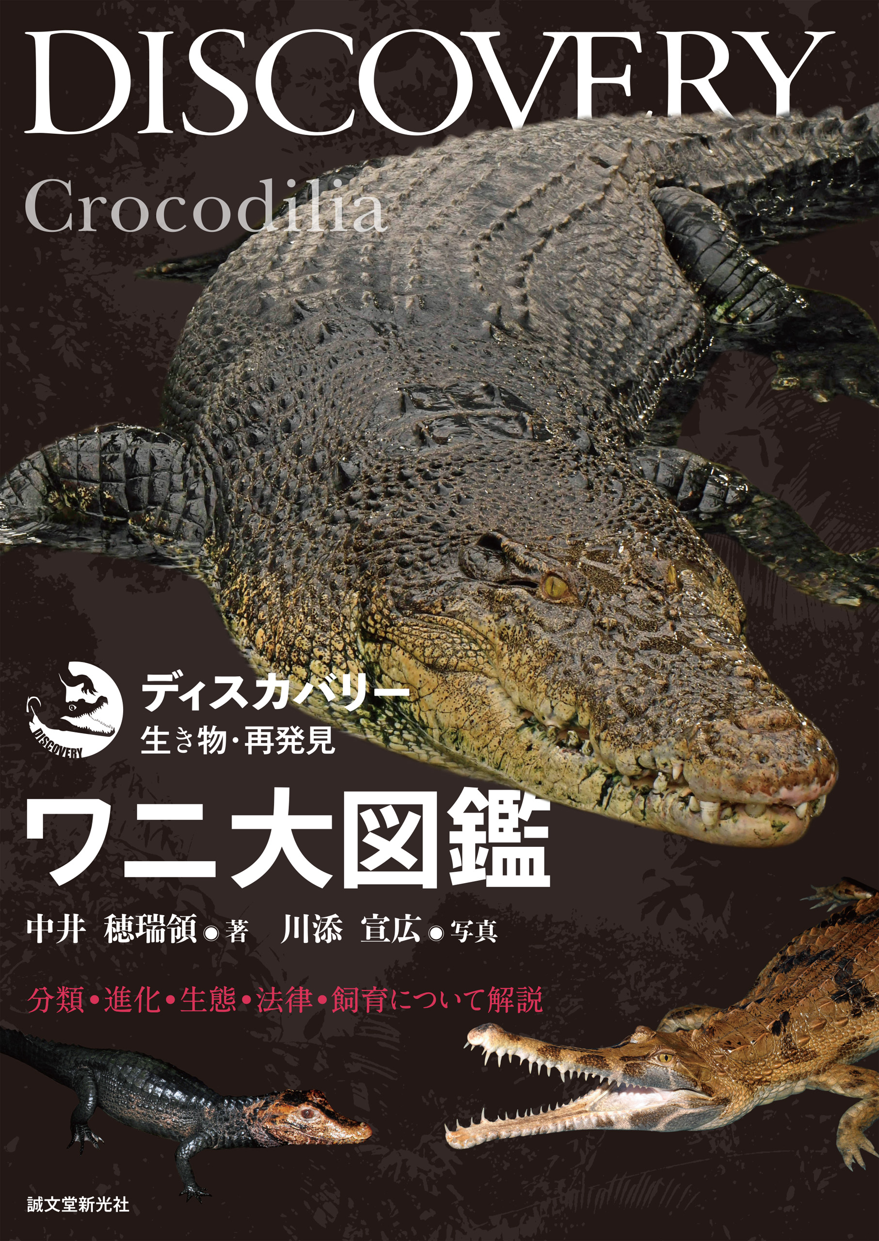 ワニ大図鑑：分類・進化・生態・法律・飼育について解説 - 中井穂瑞領