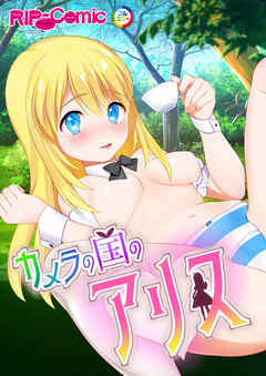 カメラの国のアリス