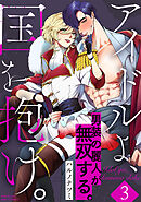 アイドルよ、国を抱け。【コミックス版】(3)