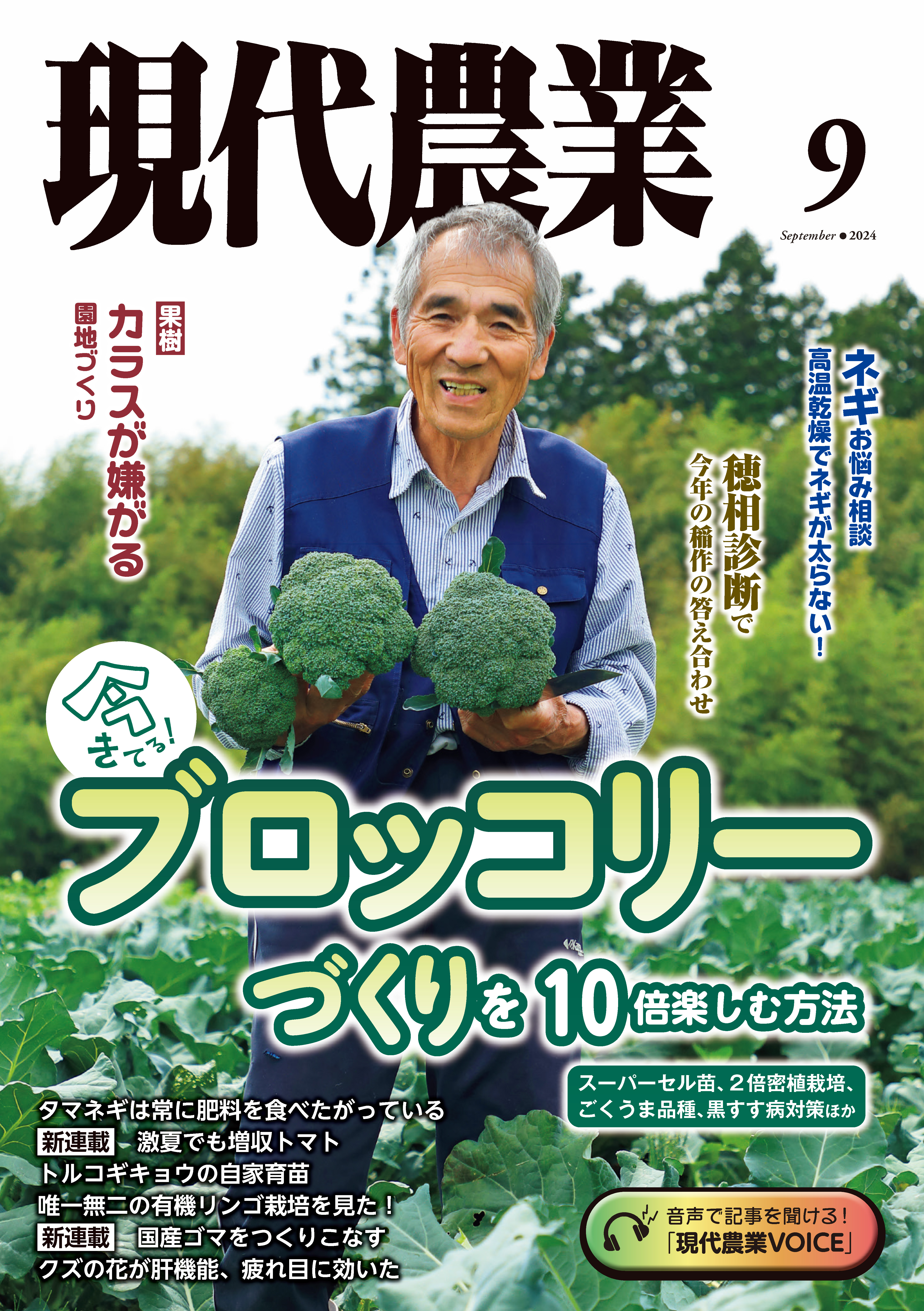 由緒正しき農家の跡取りが（初めて）本気でさつまいもを作って