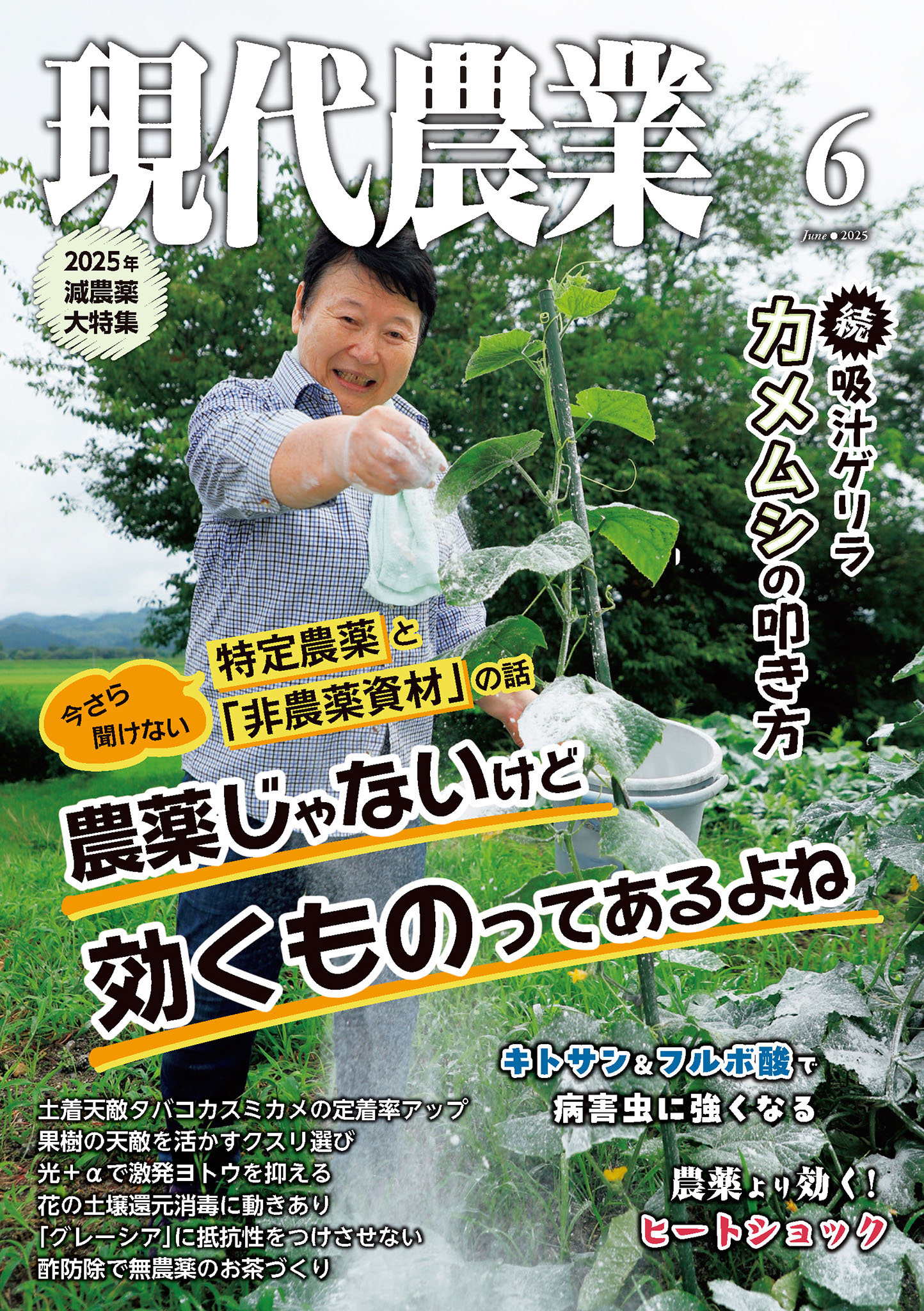 無修正　吉田淳子 