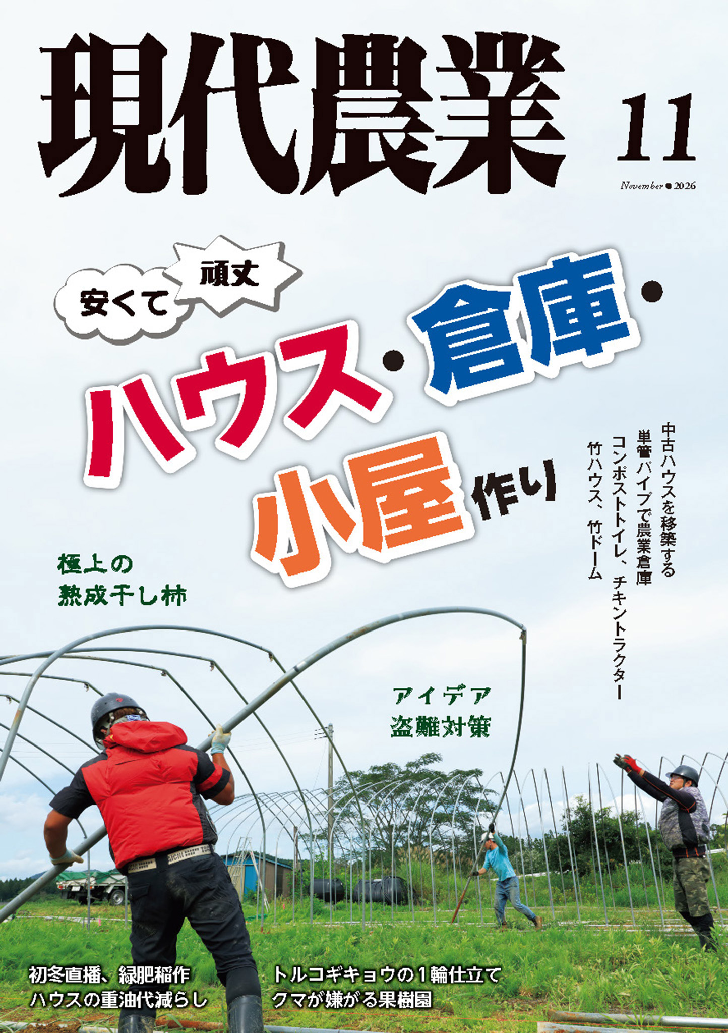 トマトの脇芽放置は大減収の罠？正しい芽かきと挿し木増殖を徹底解説