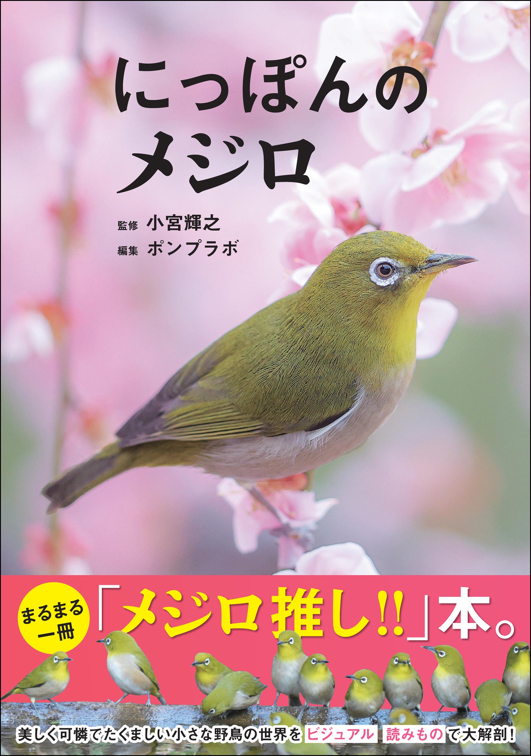 にっぽんのメジロ - 小宮輝之 - 漫画・ラノベ（小説）・無料試し読み