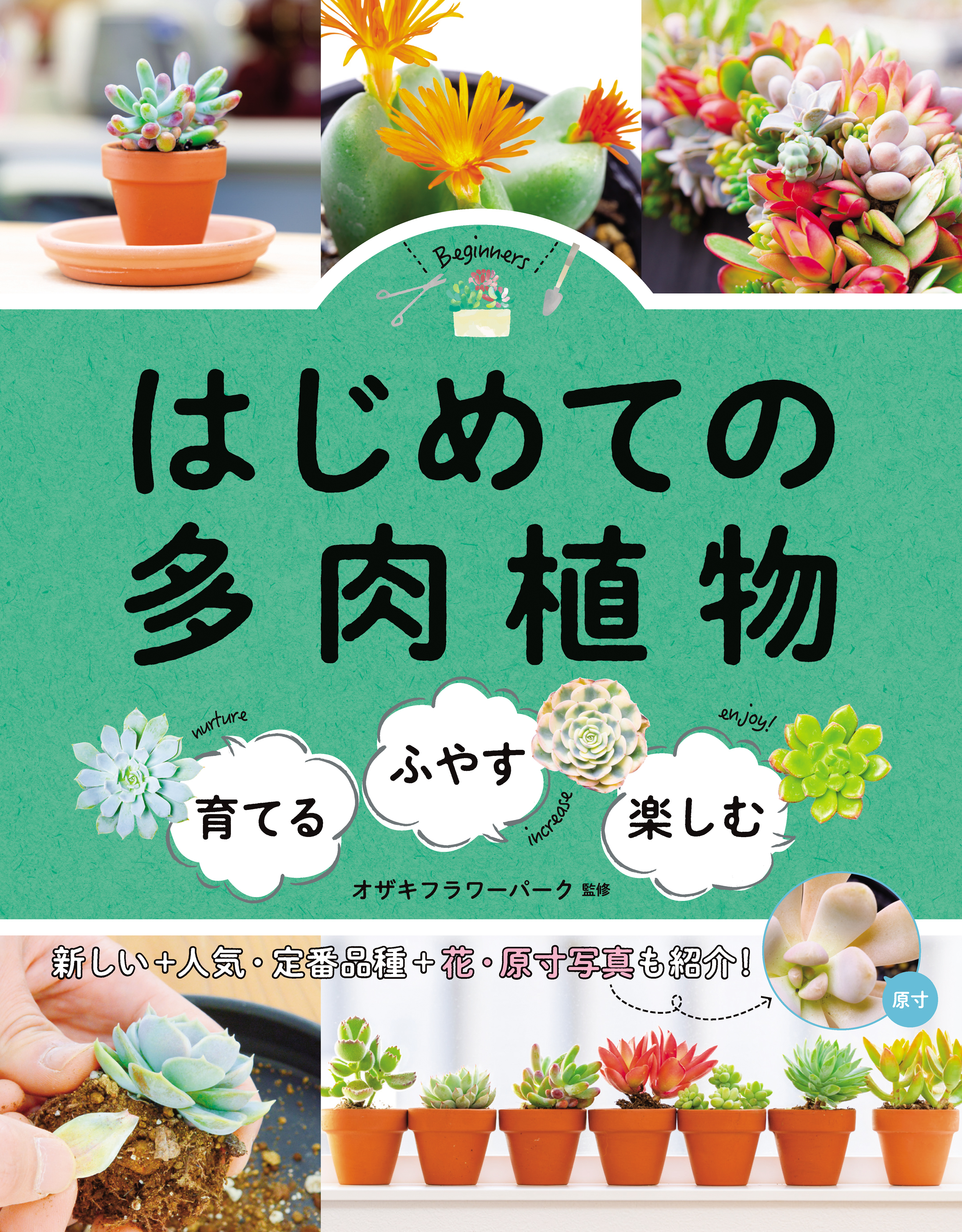 はじめての多肉植物 - オザキフラワーパーク - 漫画・無料試し読みなら