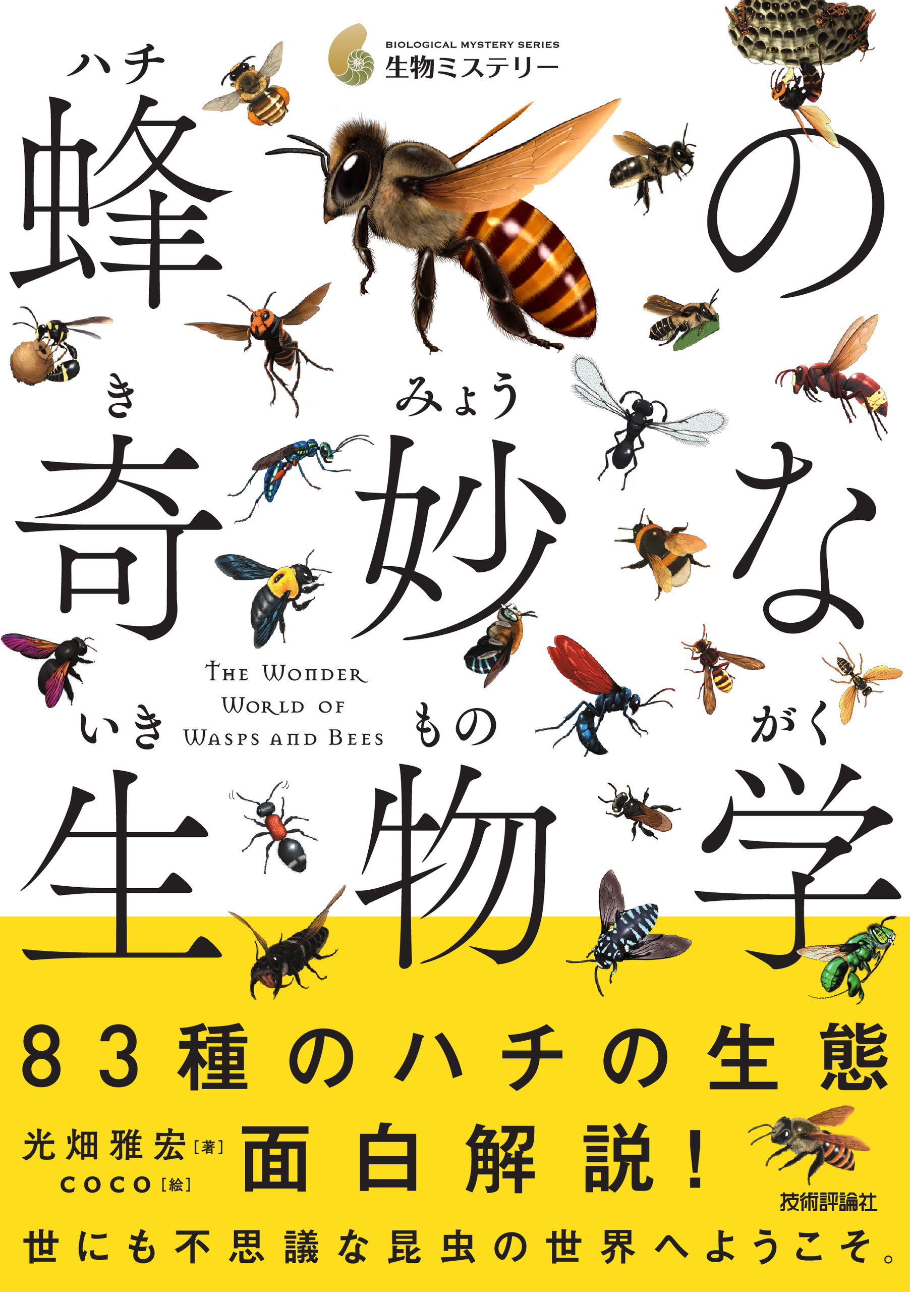 昆虫標本スズメバチ、サソリ等セット - 標本