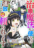 治癒魔法は使えないと追放されたのに、なぜか頼られてます～俺だけ使える治癒魔法で、聖獣と共に気づけば世界最強になっていた～3巻