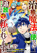 治癒魔法は使えないと追放されたのに、なぜか頼られてます～俺だけ使える治癒魔法で、聖獣と共に気づけば世界最強になっていた～4巻