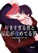好きすぎる男と反応が冷めてる男-Dom/Subユニバース-(3)