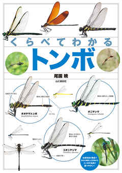 くらべてわかる トンボ