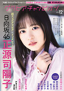 グラビアチャンピオン　VOL.12