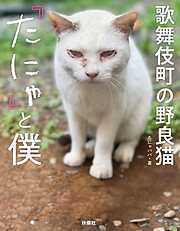 歌舞伎町の野良猫「たにゃ」と僕