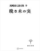 尾崎喜八詩文集９：晩き木の実