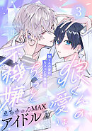 狼くんの愛はちょっと不機嫌3-アイドル編-(3)