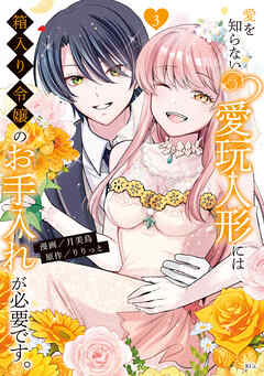 愛を知らない愛玩人形には箱入り令嬢のお手入れが必要です。（３）