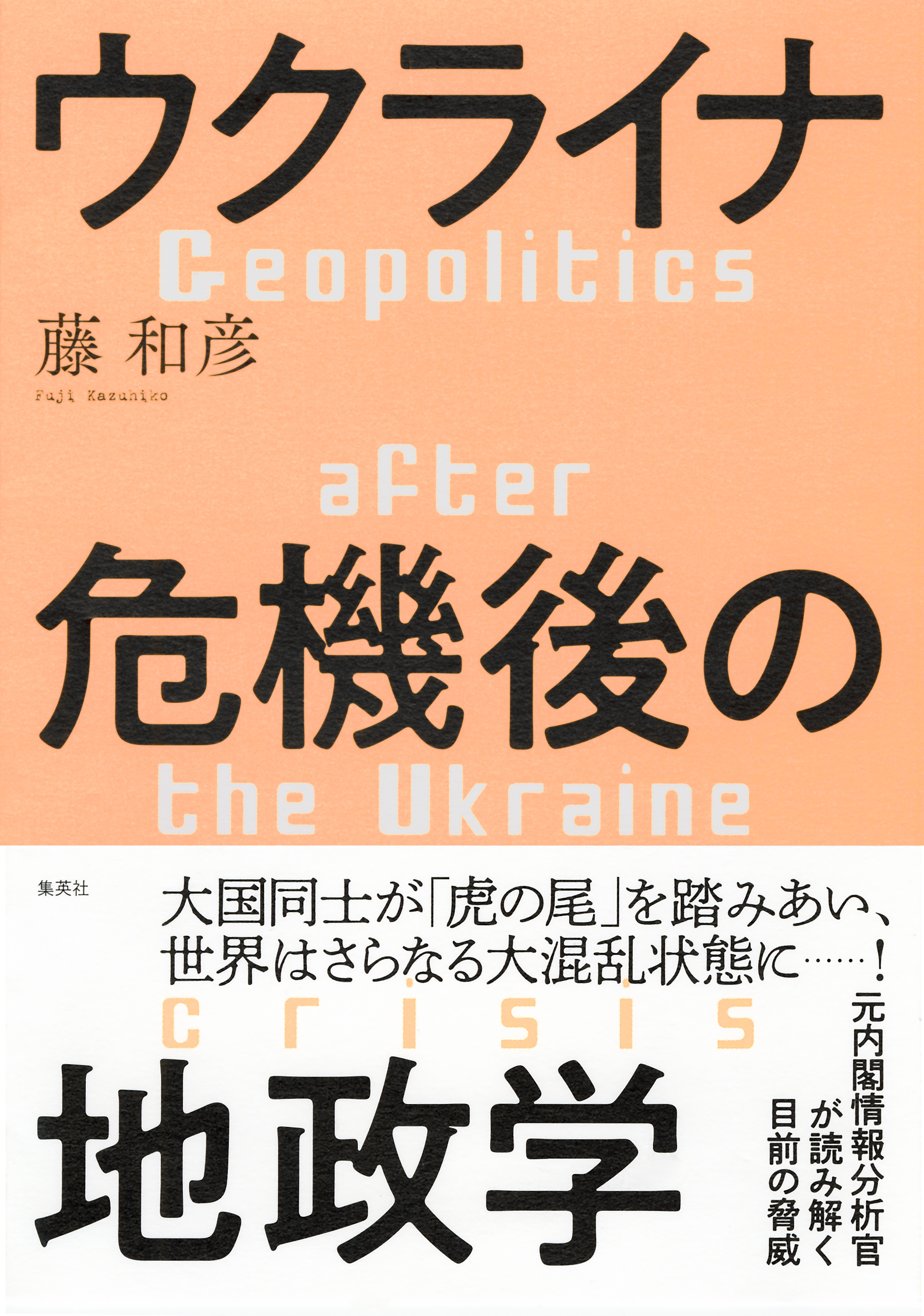 ウクライナ危機後の地政学 - 藤和彦 - 漫画・ラノベ（小説）・無料試し