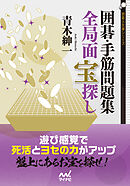 囲碁・手筋問題集　全局面 宝探し