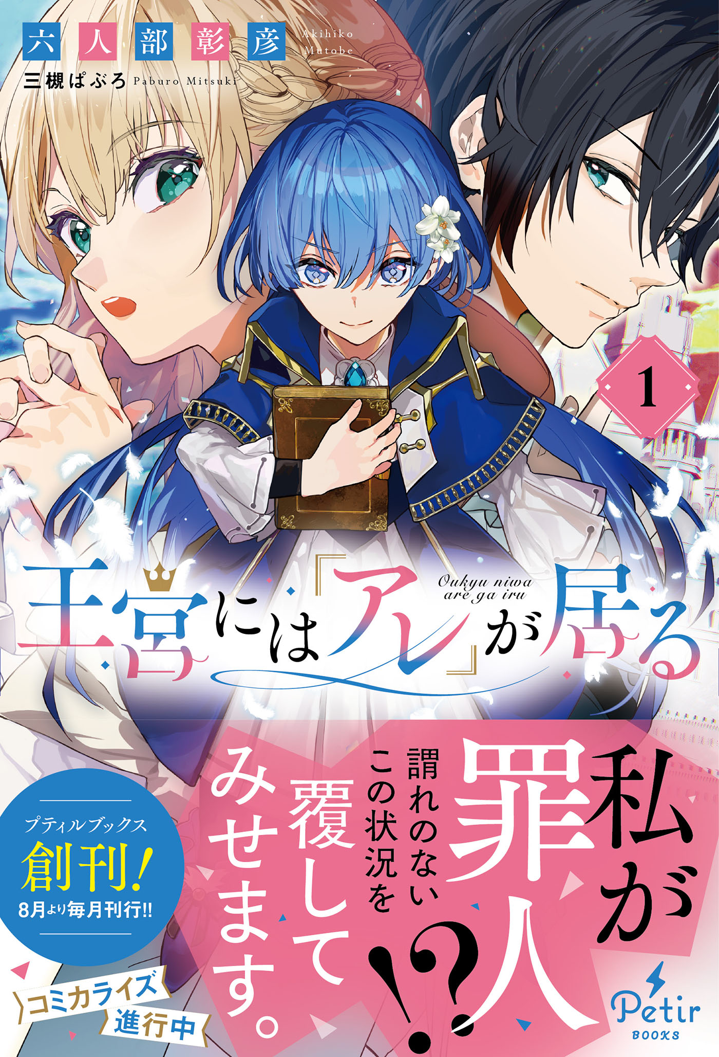 王宮には『アレ』が居る 1 - 六人部彰彦/三槻ぱぶろ - 漫画・ラノベ