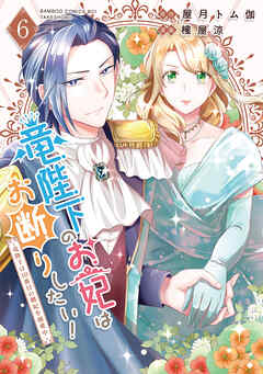 竜陛下のお妃はお断りしたい！～竜陛下は10番目の側妃を溺愛中～【特典ペーパー付き】 (6)
