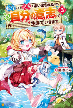 転生しても実家を追い出されたので、今度は自分の意志で生きていきます３