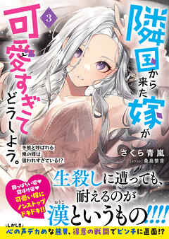 隣国から来た嫁が可愛すぎてどうしよう。ー冬熊と呼ばれる俺の嫁は狙われすぎている！？ー【電子版特典付】３
