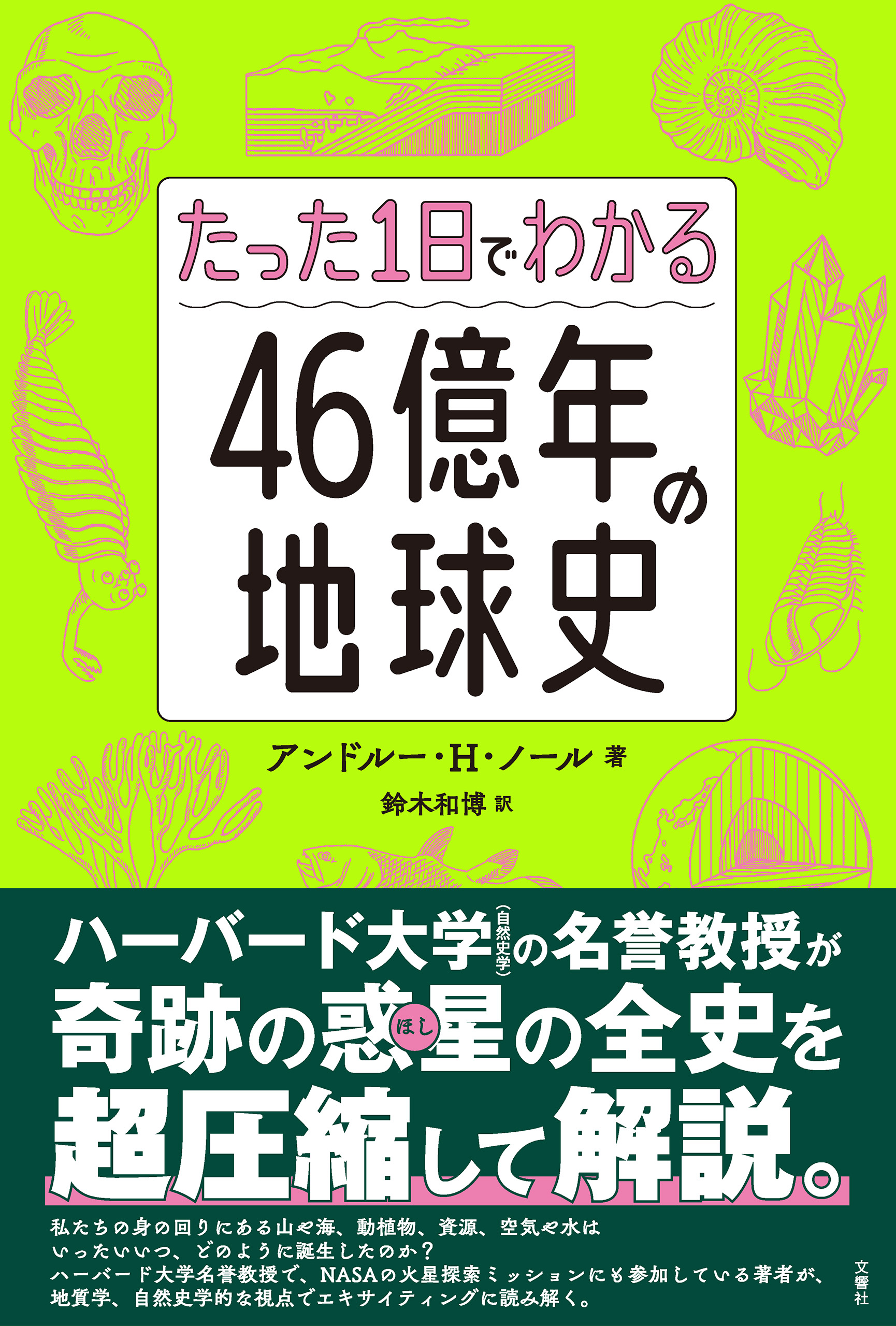 脳のしくみ 4億年の歴史を探る - ノンフィクション