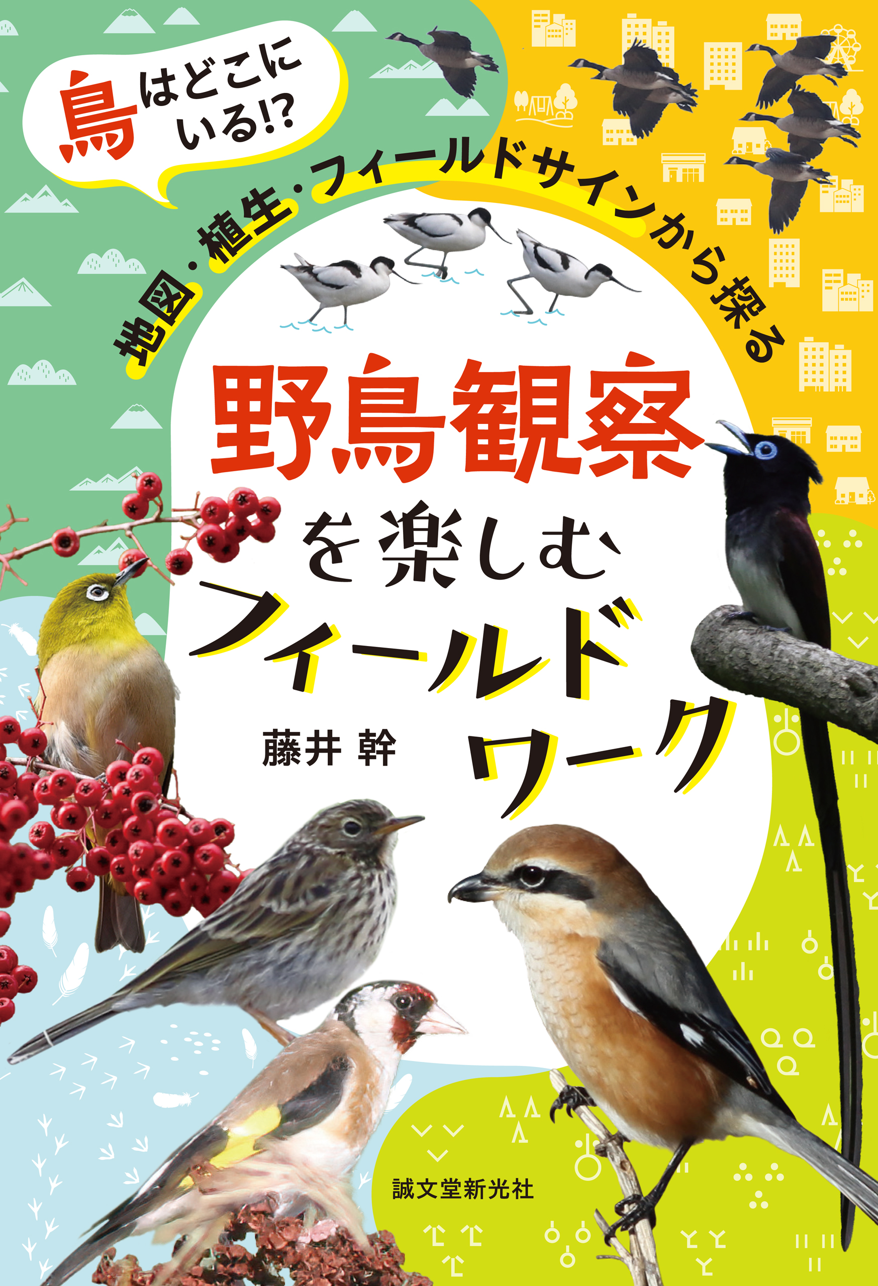 絶版］フィールドガイド 日本の野鳥（英語版） - 趣味/スポーツ/実用