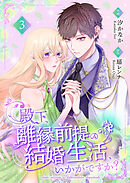 殿下、離縁前提の結婚生活、いかがですか？ 【合冊版】3