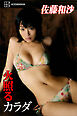 佐藤和沙　写真集　火照るカラダ