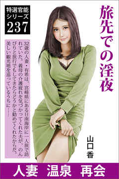 旅先での淫夜