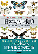 日本の小蛾類