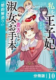 私を王子妃にしたいのならまずは貴方たちが淑女のお手本になってください【分冊版】