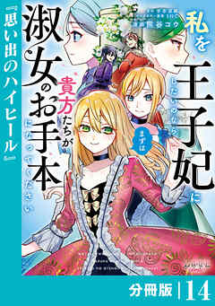 私を王子妃にしたいのならまずは貴方たちが淑女のお手本になってください【分冊版】