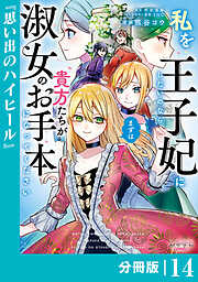 私を王子妃にしたいのならまずは貴方たちが淑女のお手本になってください【分冊版】