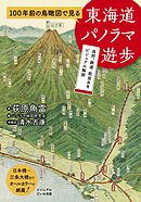 100年前の鳥瞰図で見る東海道パノラマ遊歩