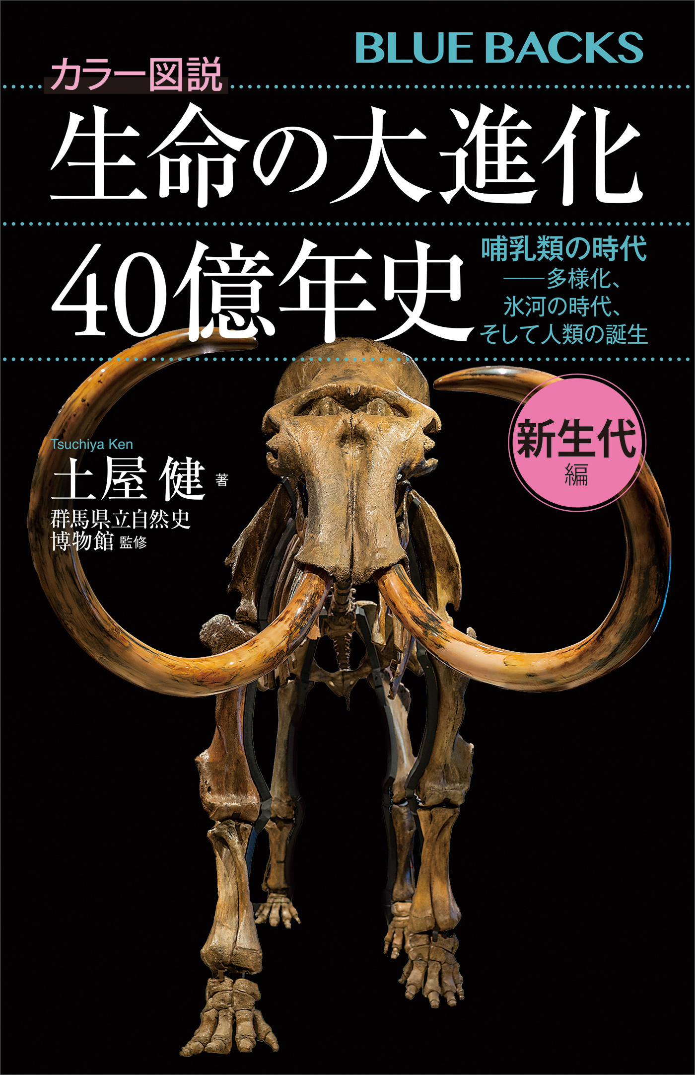 日本鳥類大図鑑・3冊/清棲幸保/記載は精細で独創性に富み前代未聞で 