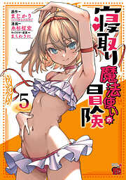 寝取り魔法使いの冒険