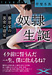 奴隷生誕　藤原家の異常な寝室
