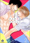 大人の恋はややこしい（分冊版）　【第2話】