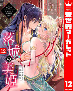 落城の美姫～堅物皇子の甘い執着～ 12
