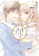 完璧で最高の私にホレないのは天然バカなお前のせい！ 3