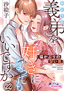 義弟を好きになってもいいですか　猫かぶりの甘い罠２２