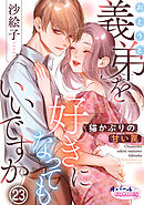 義弟を好きになってもいいですか　猫かぶりの甘い罠２３