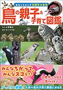 鳥の親子＆子育て図鑑