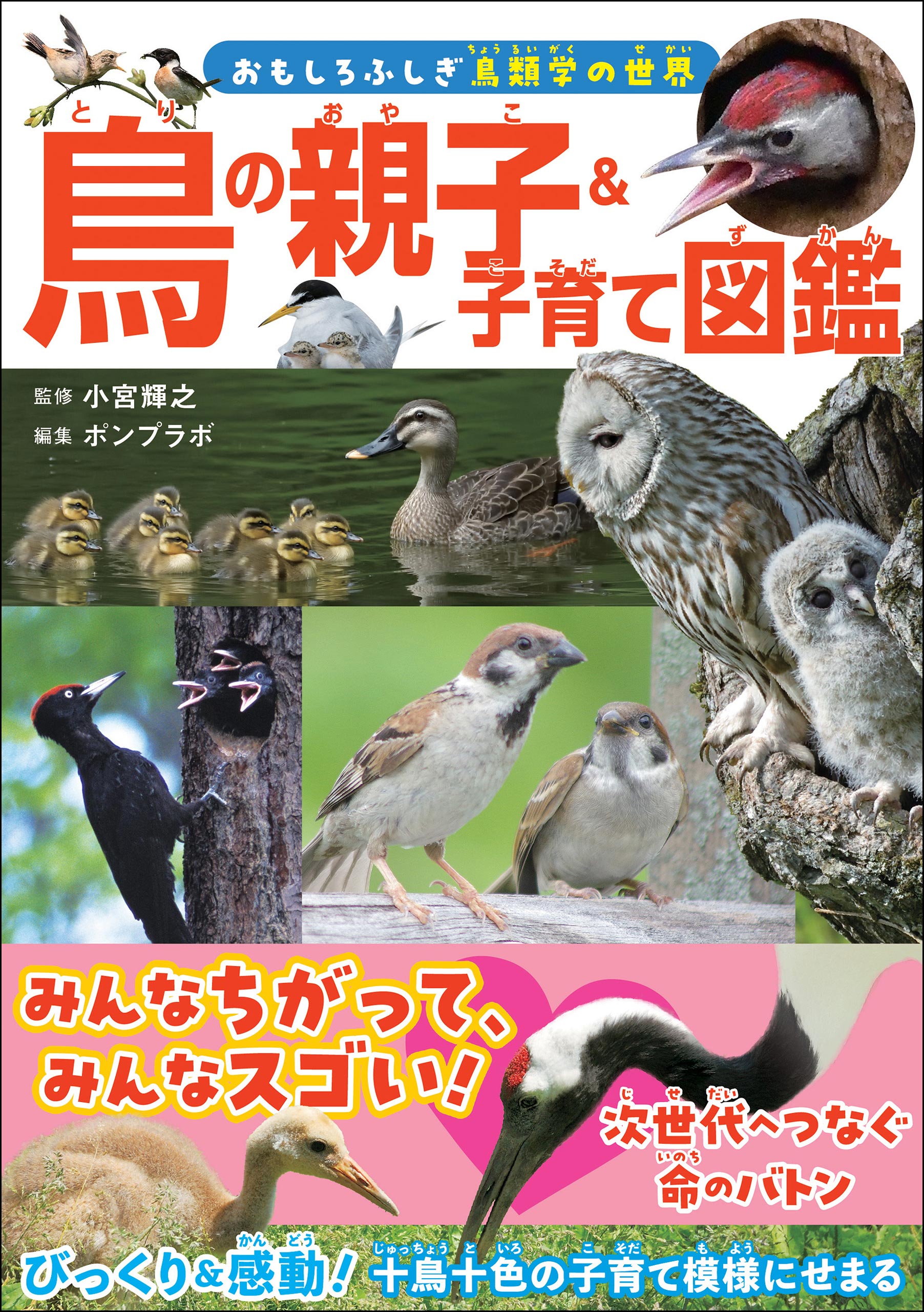 鳥の親子＆子育て図鑑 - 小宮輝之 - 漫画・無料試し読みなら、電子