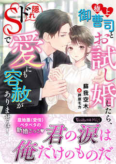 極上御曹司とお試し婚したら、隠れドSで愛にも容赦がありません！ - 蘇我空木/芦原モカ - TL(ティーンズラブ)小説・無料試し読みなら、電子書籍・コミックストア ブックライブ
