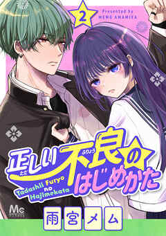 正しい不良のはじめかた