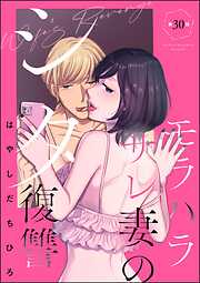 モラハラサレ妻のシタ復讐（分冊版）
