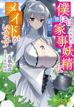 僕には家事妖精なメイドがいます